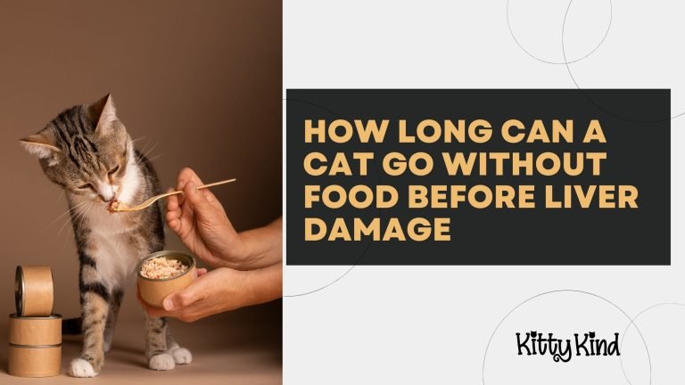 How Long Can a Cat Go Without Food Before Liver Damage