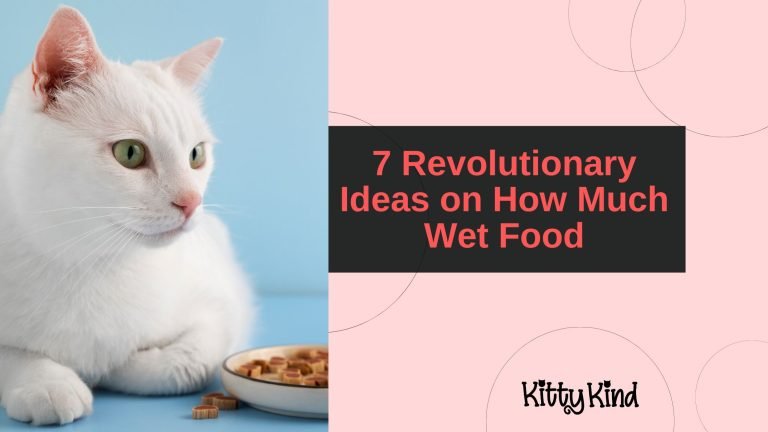 7 Revolutionary Ideas on How Much Wet Food