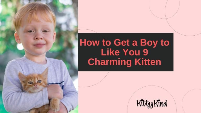 How to Get a Boy to Like You 9 Charming Kitten