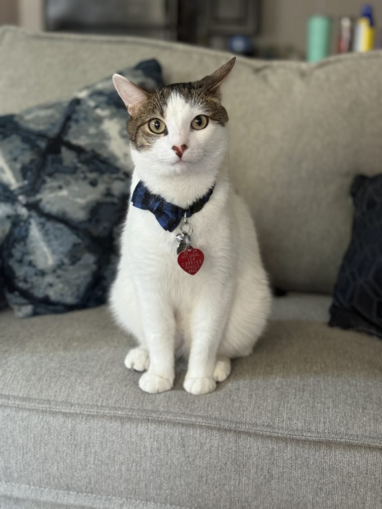 kittkyinds offer page