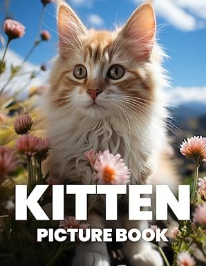 Adorable Kitten Photography