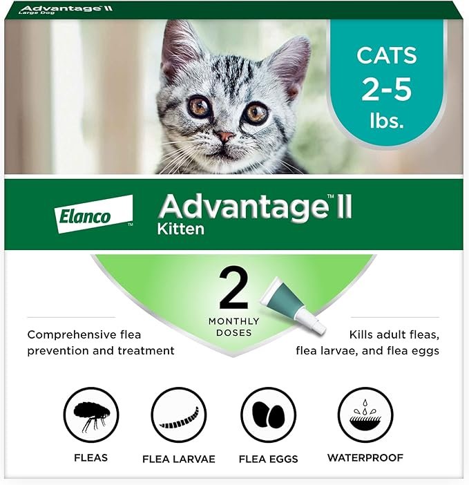 Advantage II Kitten