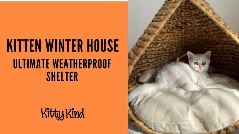Kitten Winter House