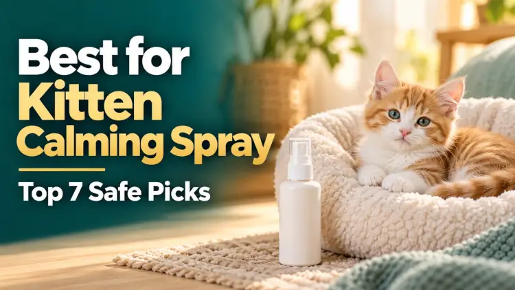 Best for Kitten Calming Spray