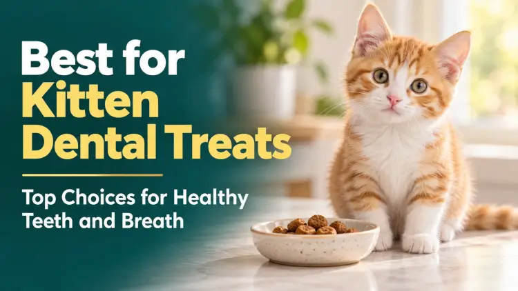 Kitten Dental Treats