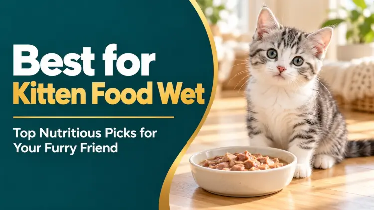 Kitten Wet Food