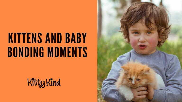 Kittens and Baby Bonding Moments