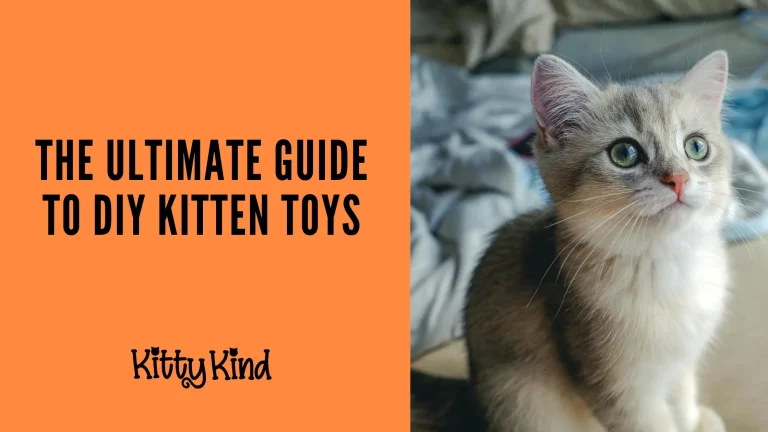 The Ultimate Guide to DIY Kitten Toys