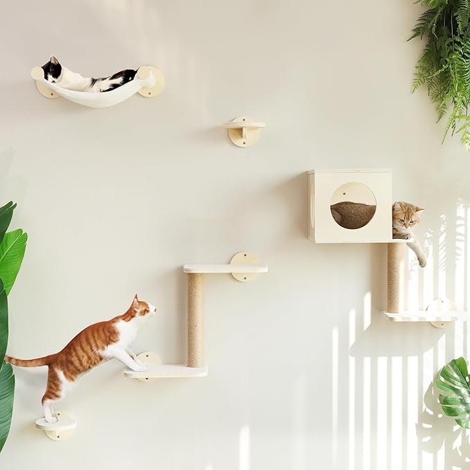 FUKUMARU Cat Wall