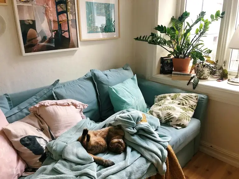 Tiny Cats Apartment