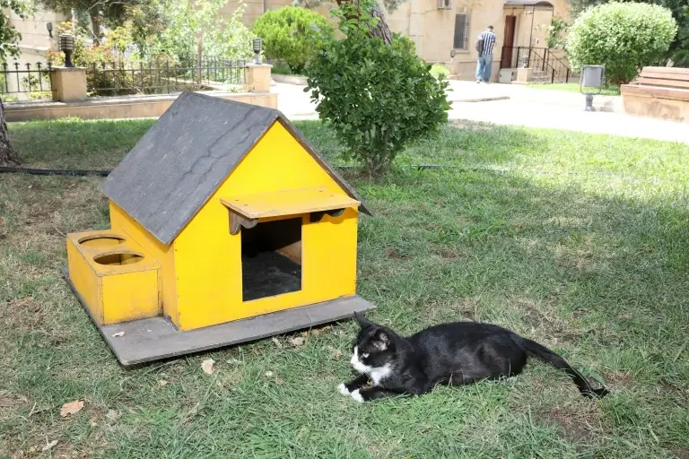 Pallet Wood Outdoor Cat House