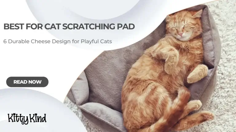 Best for Cat Scratching Pad