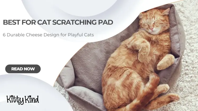 Best for Cat Scratching Pad