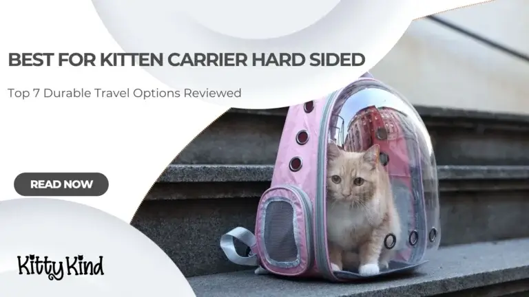 Best for Kitten Carrier Hard Sided
