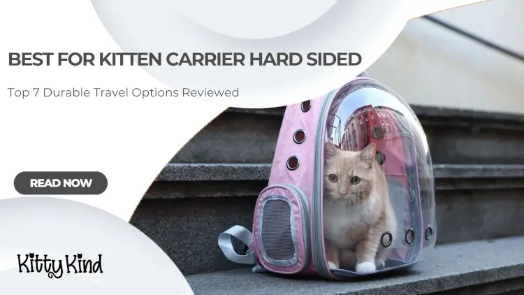Best for Kitten Carrier Hard Sided