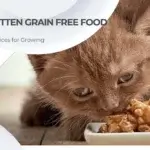 Best for Kitten Grain Free Food